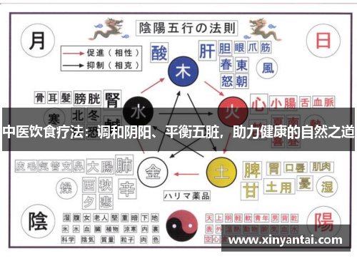 中医饮食疗法：调和阴阳、平衡五脏，助力健康的自然之道